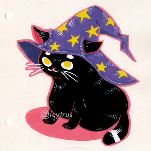 wizard cat